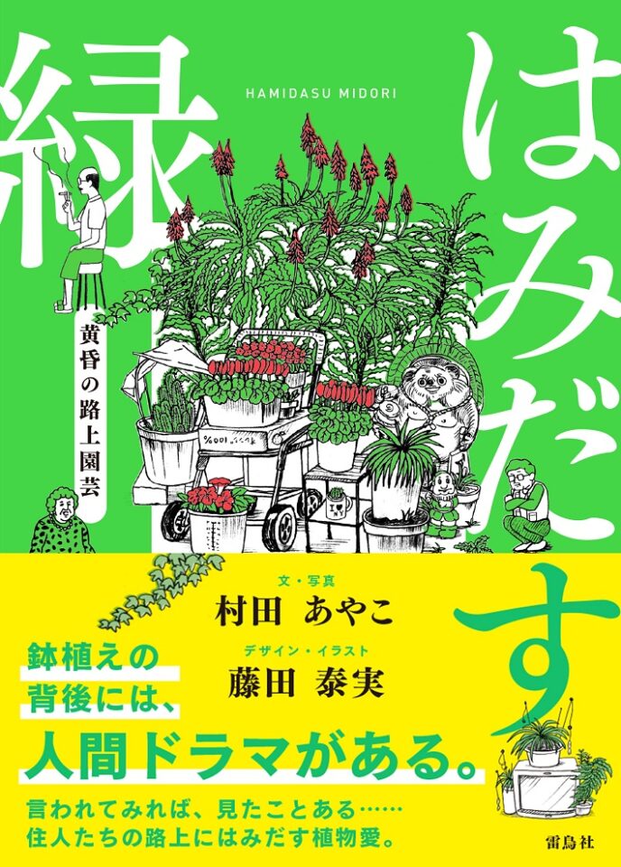 はみだす緑 黄昏の路上園芸